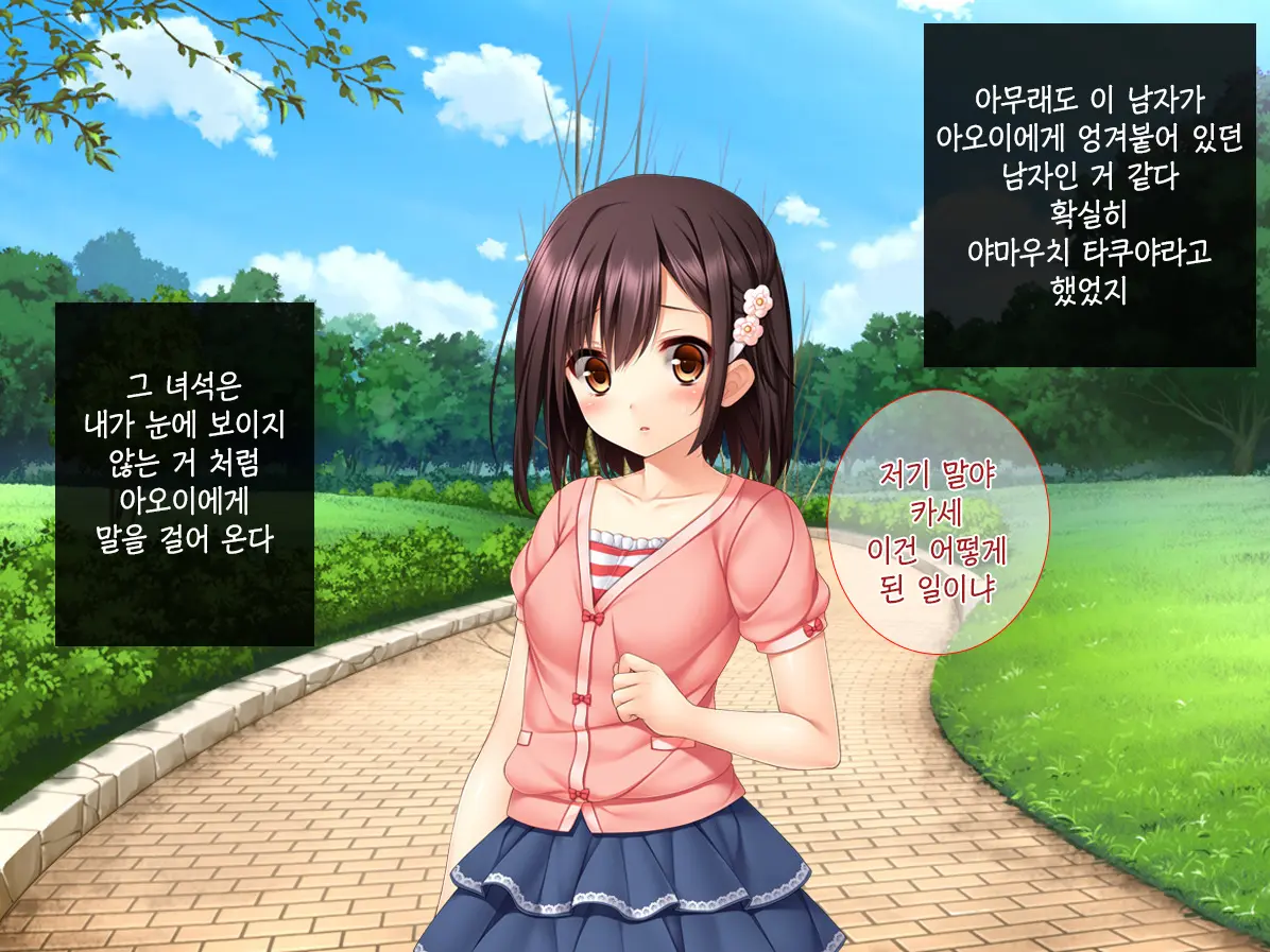 Imouto Ga Suki Sugiru Aniki Ga Kareshi Kara Netoru | 여동생을 엄청 좋아한 오빠가 남자친구에게서 여동생 빼앗기